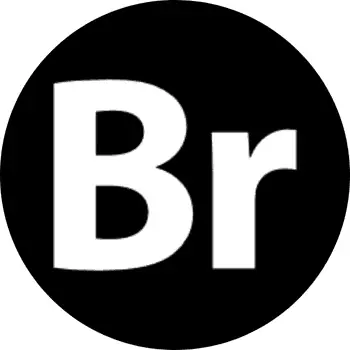 Adobe Bridge 2025 v15.0.1 for MacOS